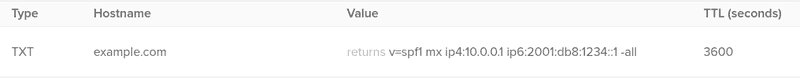 Example SPF DNS Record