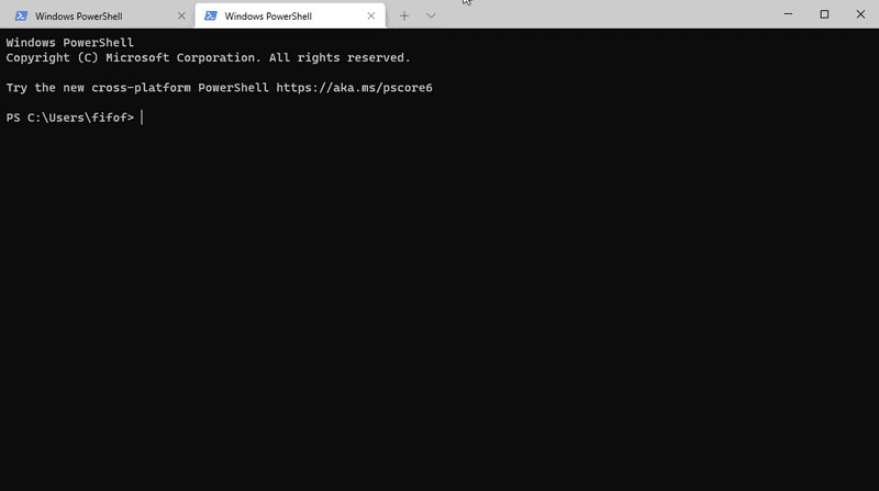 Windows Terminal