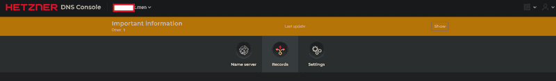 HETZNER Records tab
