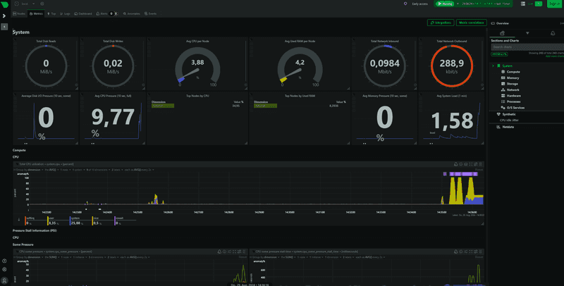 Netdata Web Interface