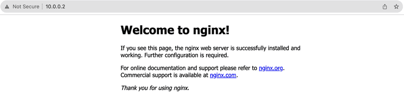 Access nginx privately