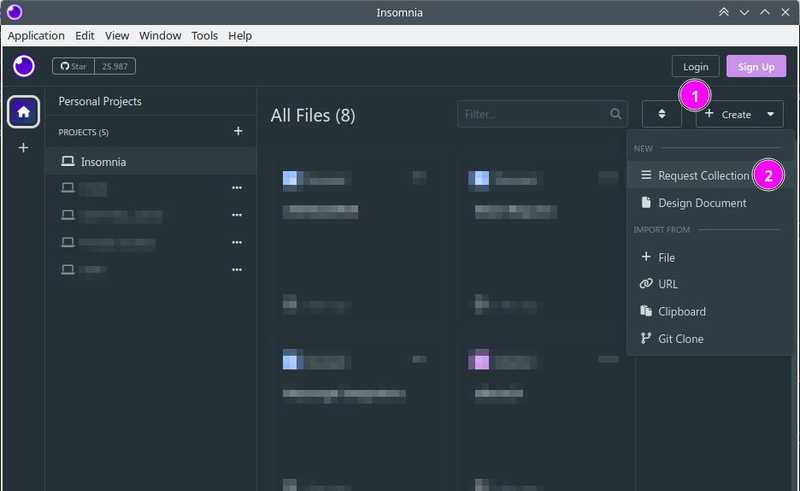 DNS Console - view token